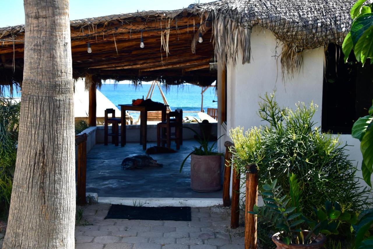 Rustico Lounge - Property In Front Of The Beach San Jose del Cabo Luaran gambar